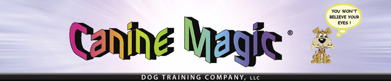 Canine Magic - A Massachusetts Dog Obedience Training Company